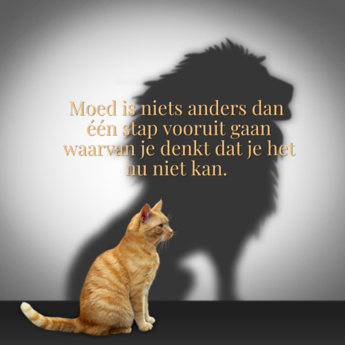 Dapperheid, moed & daadkracht clearing - Afbeelding 3
