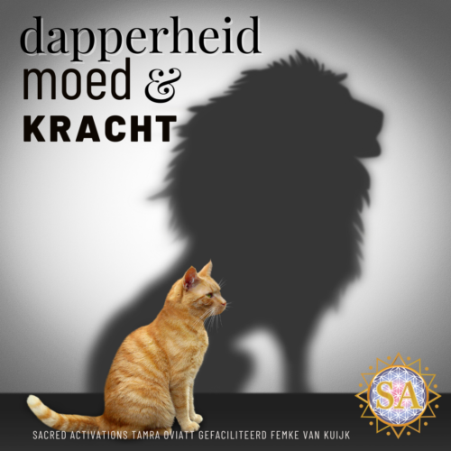 Dapperheid, moed & daadkracht clearing