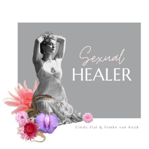 Seksual Healer 12 weken programma