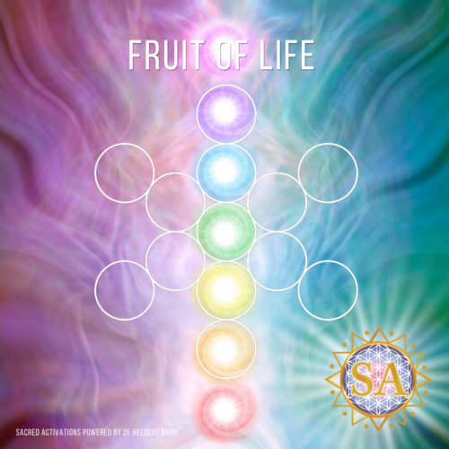 Fruit of Life -Chakra Upgrade